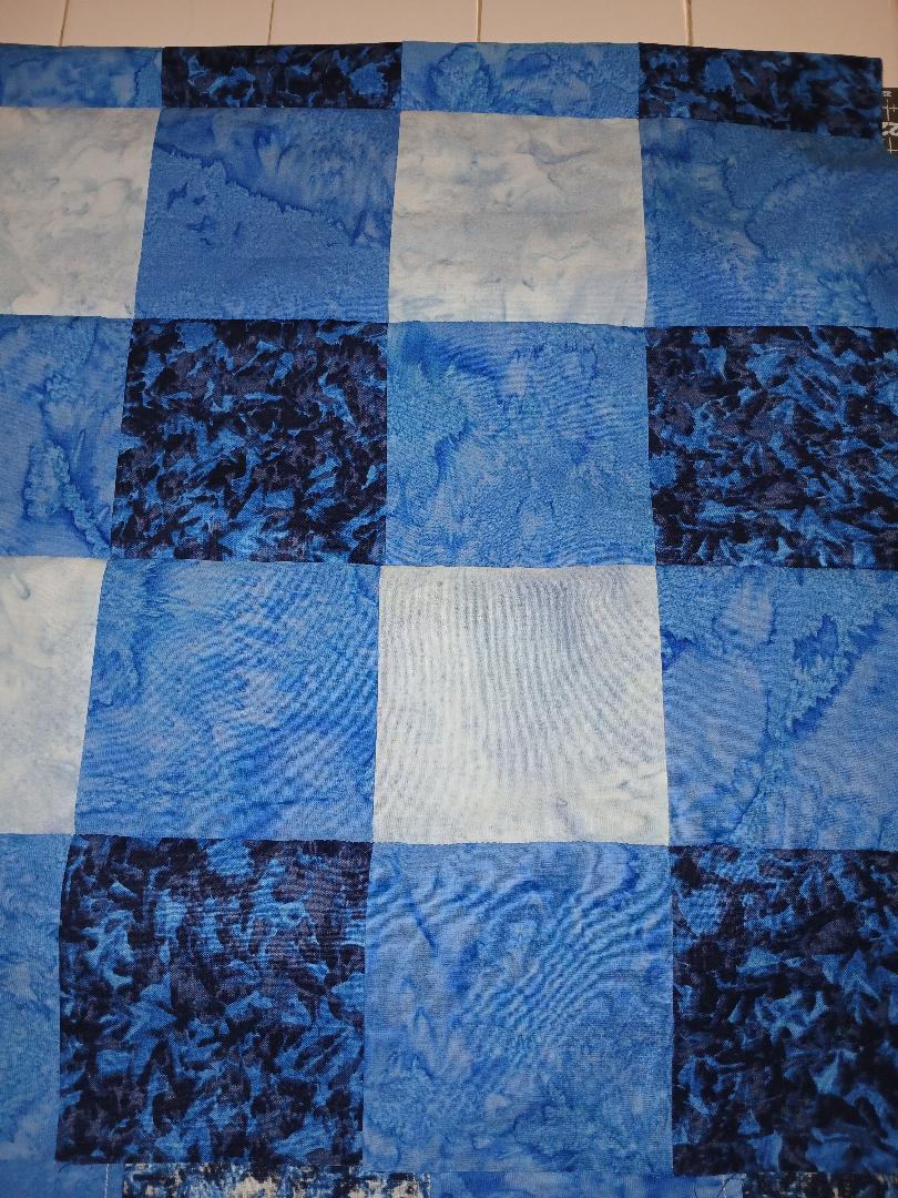 Blue Gingham With Dino